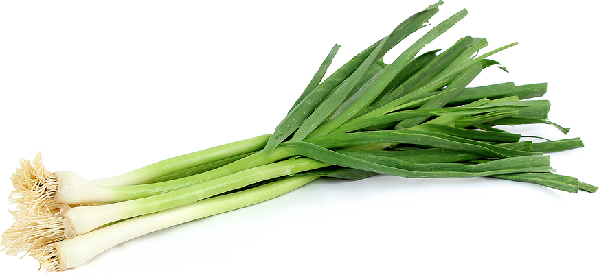 Green Garlic – Indian Market