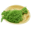 Dill Leaves