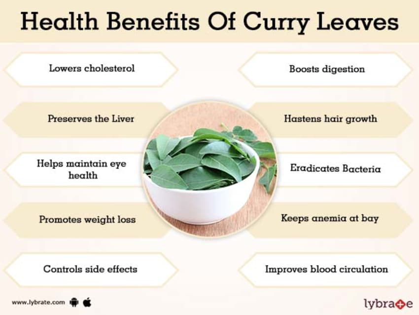 Curry Leaves Packet