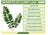 Curry Leaves Packet