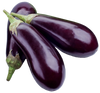 American Eggplant