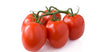 Roma Tomatoes