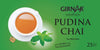 Pudina Chai (Tea with Mint)