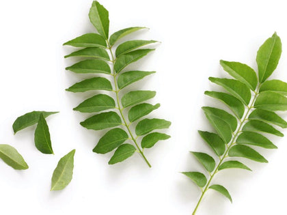 Curry Leaves Packet