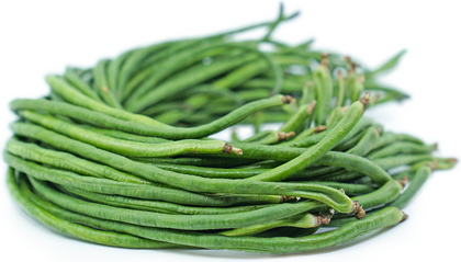 Long Beans