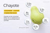 Chayote